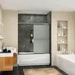 shower door