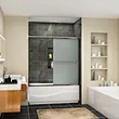 shower door